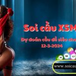 Soi cau XSMB 12-3-2024 VIP