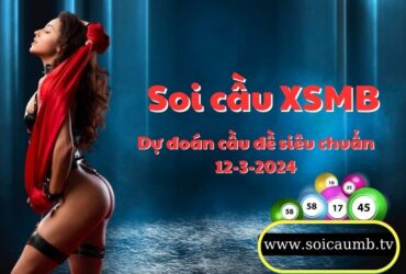 Soi cau XSMB 12-3-2024 VIP