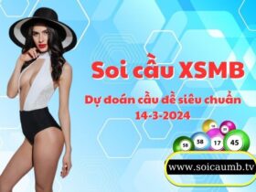 Soi cau XSMB 14-3-2024 VIP