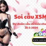 Soi cau XSMB 25-3-2024 VIP