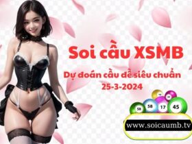 Soi cau XSMB 25-3-2024 VIP