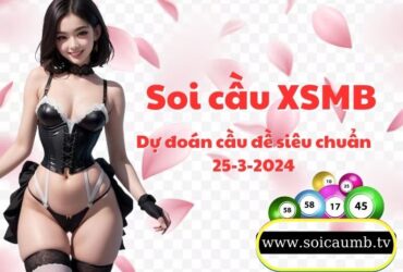 Soi cau XSMB 25-3-2024 VIP