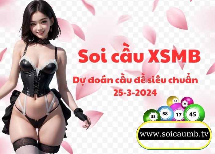 Soi cau XSMB 25-3-2024 VIP