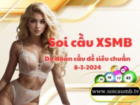 Soi cau XSMB 8-3-2024 VIP