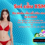 Soi cau XSMB 15-5-2024 VIP